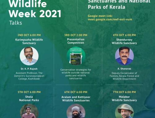 National Wildlife Week 2021