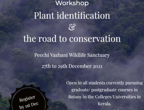Flora, The Passion: Workshop – Plant identification and the road to conservation
