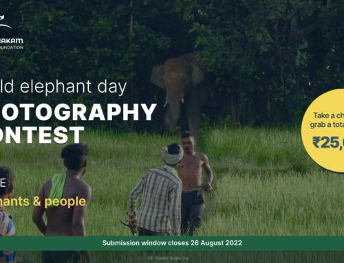 Elephants and People –  World Elephant Day Photography Contest