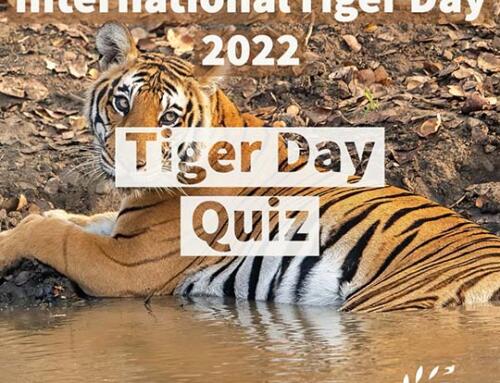 International Tiger Day Quiz 2022