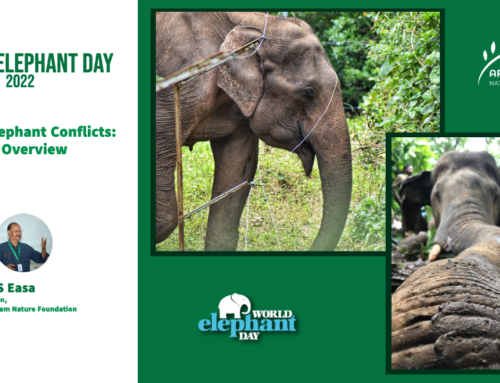 World Elephant Day Talk: Human Elephant Conflict, an overview by Dr PS Easa