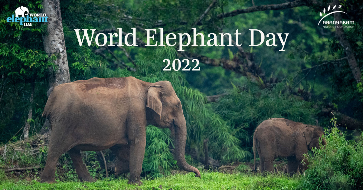 Elephants and People - World Elephant Day Photography Contest