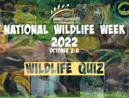 National Wildlife Week 2022 – Wildlife Quiz